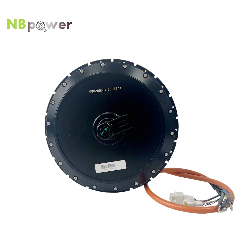NBpower 18x22mm Axle  40H QS 2 - Qs Motor 273 8000W Hub Motor review and price