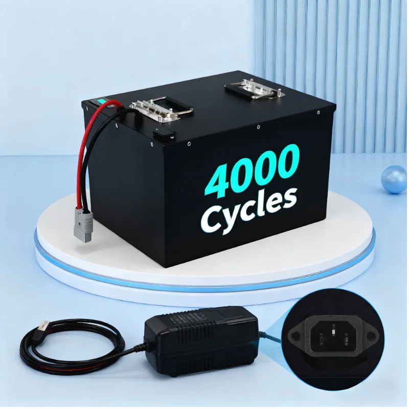 LIFEPO4 Battery Pack with BMS  - Lifepo4 72V 100Ah Battery Pack Ev review and price